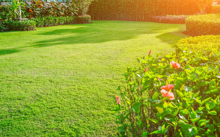Lendi Garden